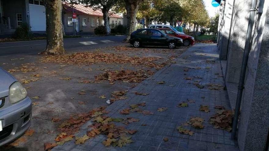 Acumulación de hojas en la avenida de Celanova. // FdV