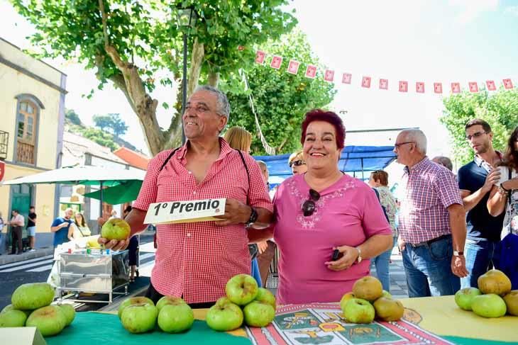 Fiesta de la manzana de Valleseco