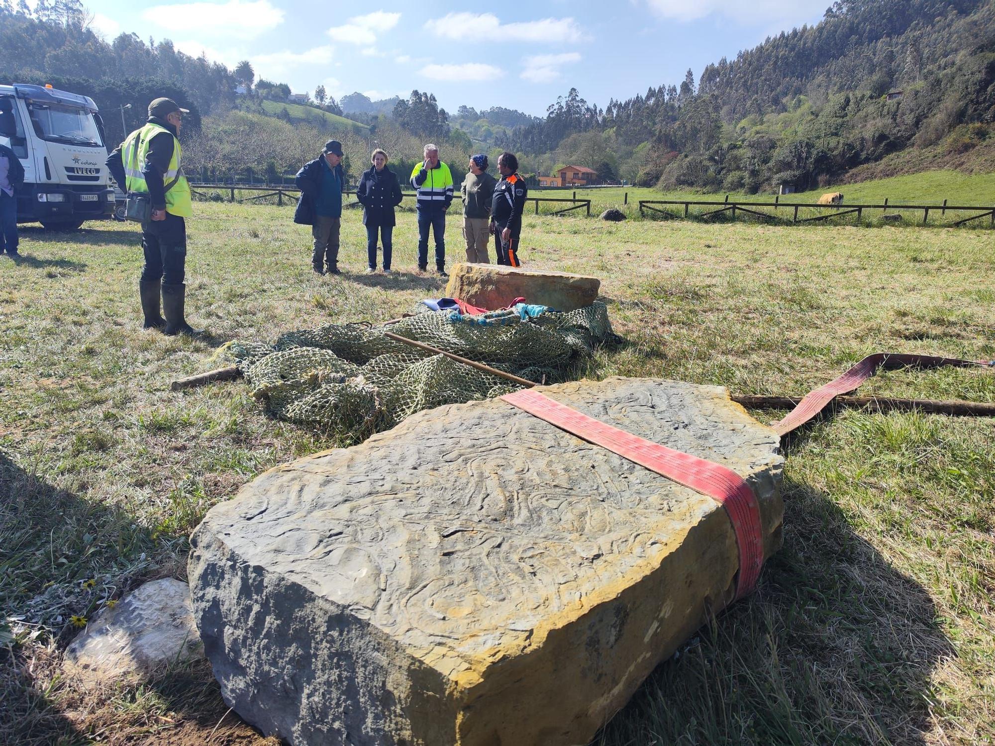 Extraordinario hallazgo en Villaviciosa: recuperan dos bloques con galerías de invertebrados del jurásico