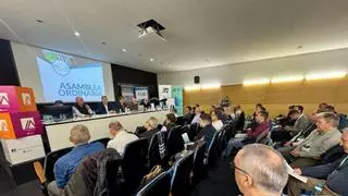 El Consell ultima un nuevo decreto para apuntalar la superviviencia de los taxistas