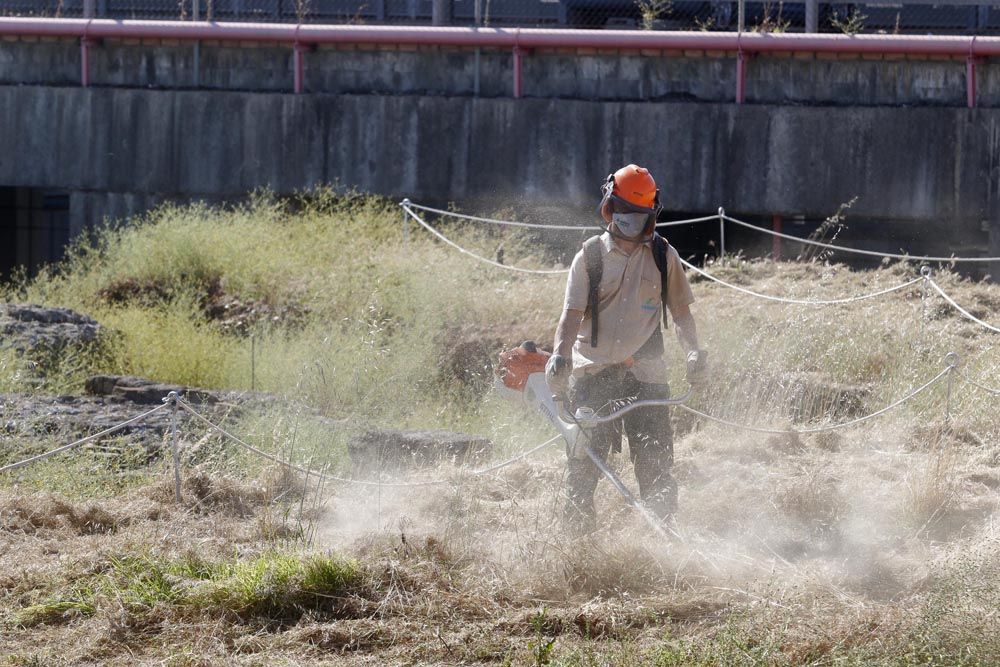 Urbanismo y Sadeco inician la limpieza del yacimiento de Cercadilla