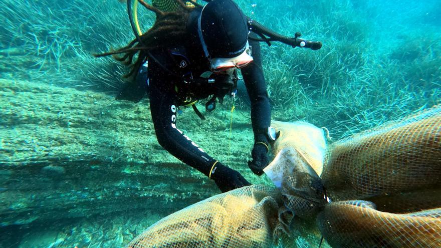 Els investigadors troben per primer cop larves de nacra a la Costa Brava després del paràsit que va arrasar l&#039;espècie