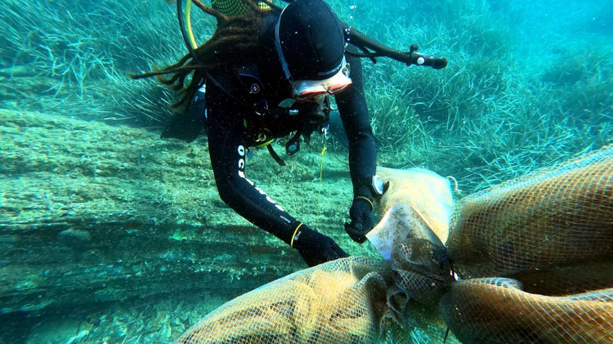 Un dels investigadors amb els col·lectors de larves de la Costa Brava on s&#039;han trobat exemplars de nacra