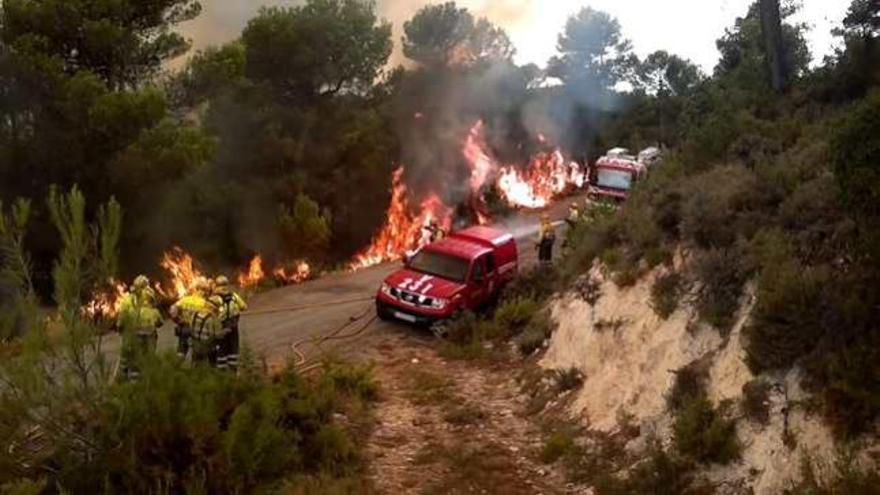 Los brigadistas involucrados en el suceso, segundos antes de que éste ocurriera.