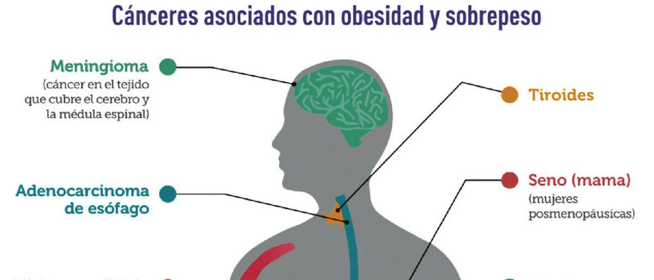 Gráfico facilitado por: el Instituto Nacional del Cáncer