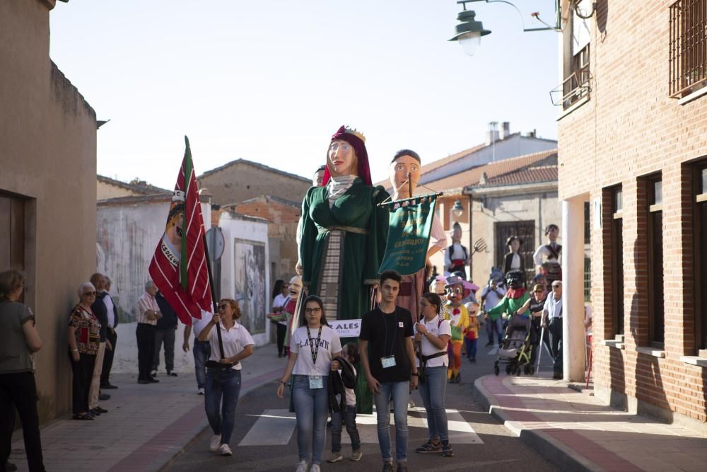 El II Encuentro de Gigantes y Cabezudos de Villaralbo, en imágenes