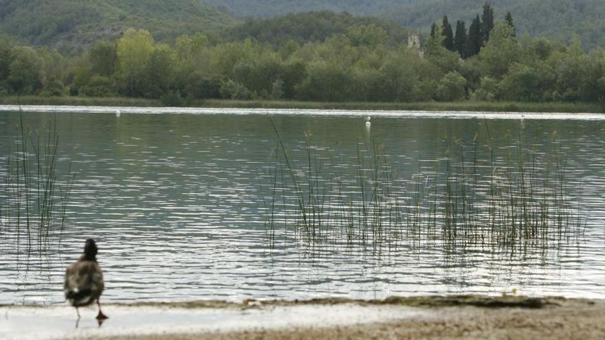 L&#039;estany de Banyoles, hàbitat dels bacteris verds del sofre