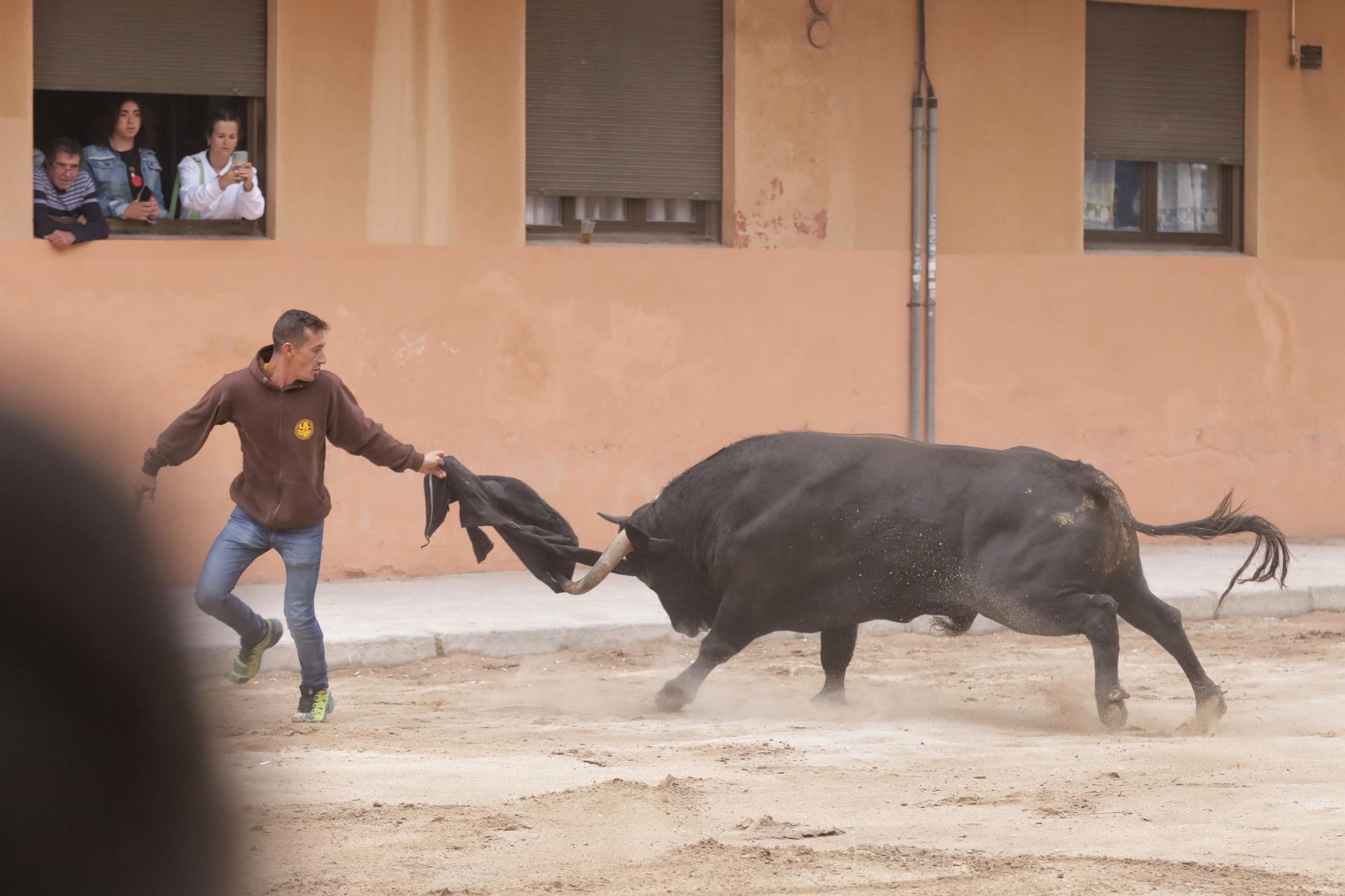 Las imágenes de la séptima jornada de las fiestas de Sant Pasqual del 2023 en Vila-real