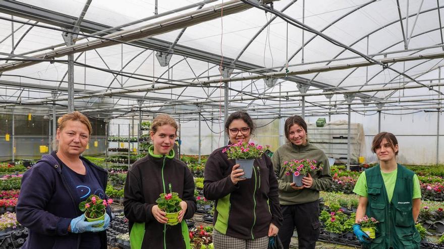 a raíces en FP: Jardinería y Floristería ganan tirón entre los jóvenes