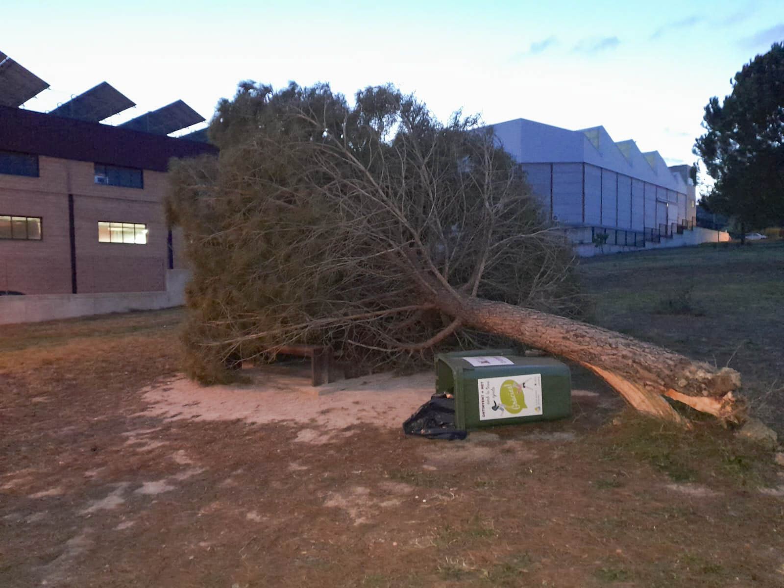 El viento causa varios incidentes en Xàtiva y Ontinyent