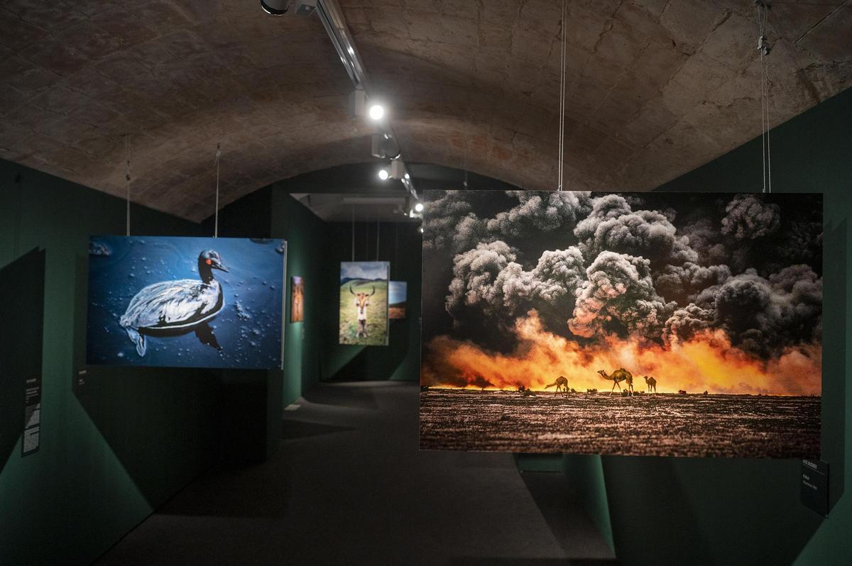 Exposición del fotógrafo Steve McCurry en el Palau Martorell de Barcelona