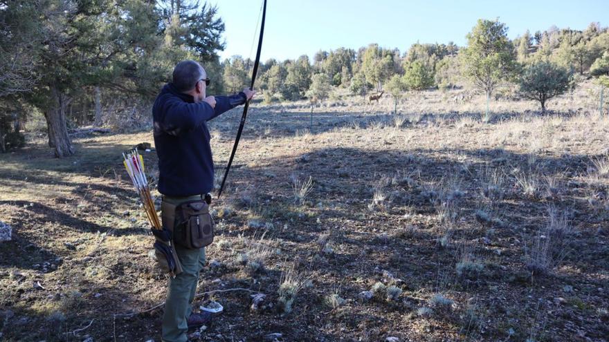 Federación plantea la caza con arco frente a la jaula en zonas con restricciones para las armas de fuego