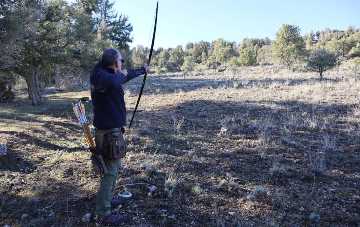 Tiradores con arco en el XXV Campeonato de España (Fotografías cedidas por la RFEC). En la imagen de la izquierda, modelo homologado de jaula ‘Pig Big Trap’ para la caza del jabalí. | LEVANTE-EMV