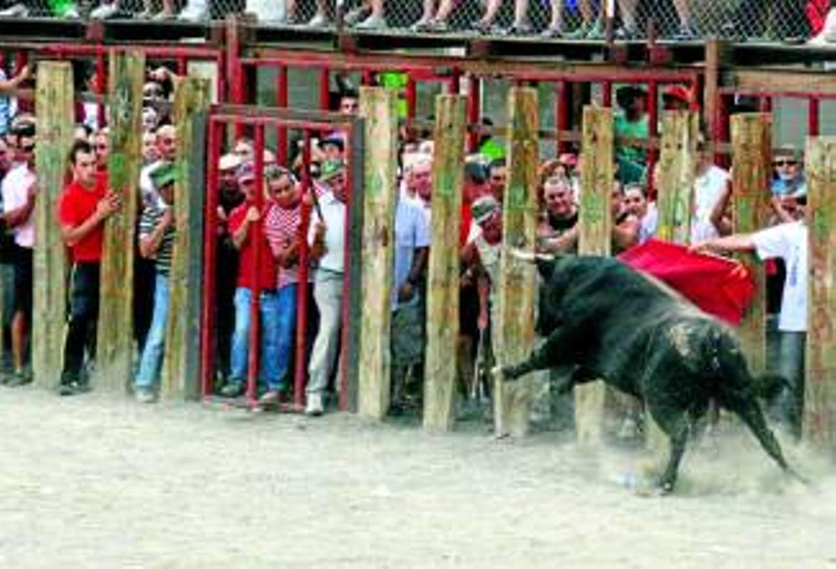 Las Fiestas de San Roque ofrecen diez días de actos