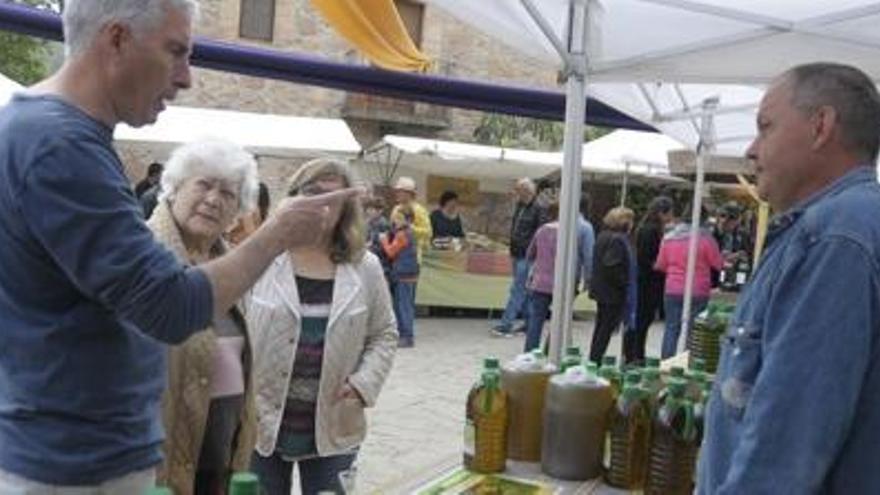 Rajadell ha dedicat la Mostra de Productes de la Terra al safrà, al vi i aquest any a l&#039;oli