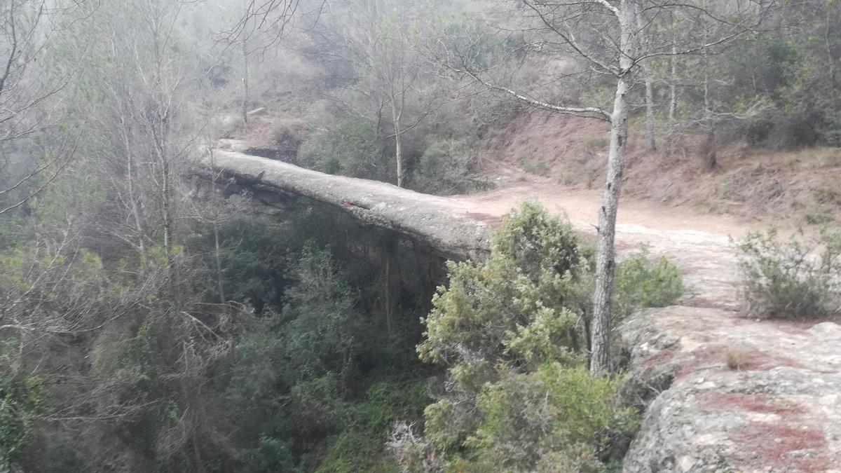 Pont foradat de les Arnaules, de pedra natural.