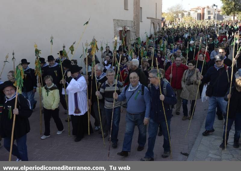 GALERÍA DE FOTOS - Romería Magdalena 2014 (5)