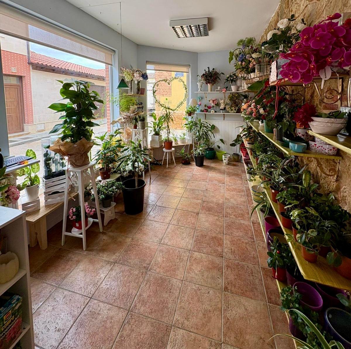 Interior de la floristería de Carla López Mil Pétalos, en Villalpando.