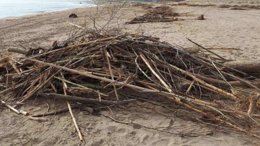 Restes vegetals a la platja de l&#039;Estartit