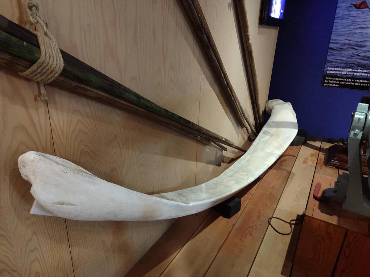 La sala dedicada a la caza de la ballena en el Museo Massó de Bueu