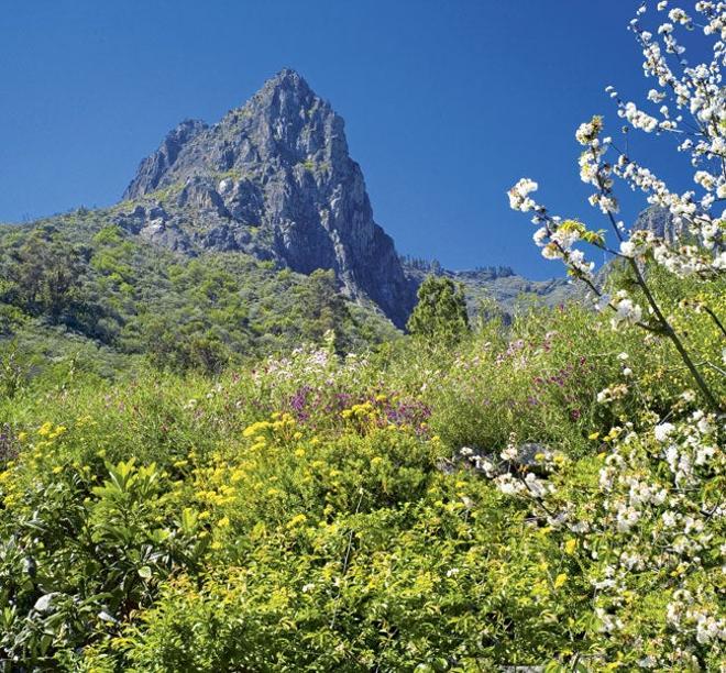 Gran Canaria, una isla para vivir la naturaleza