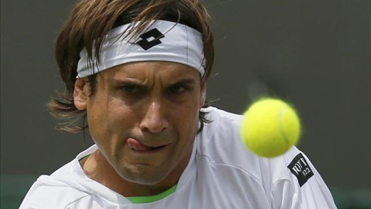 David Ferrer.