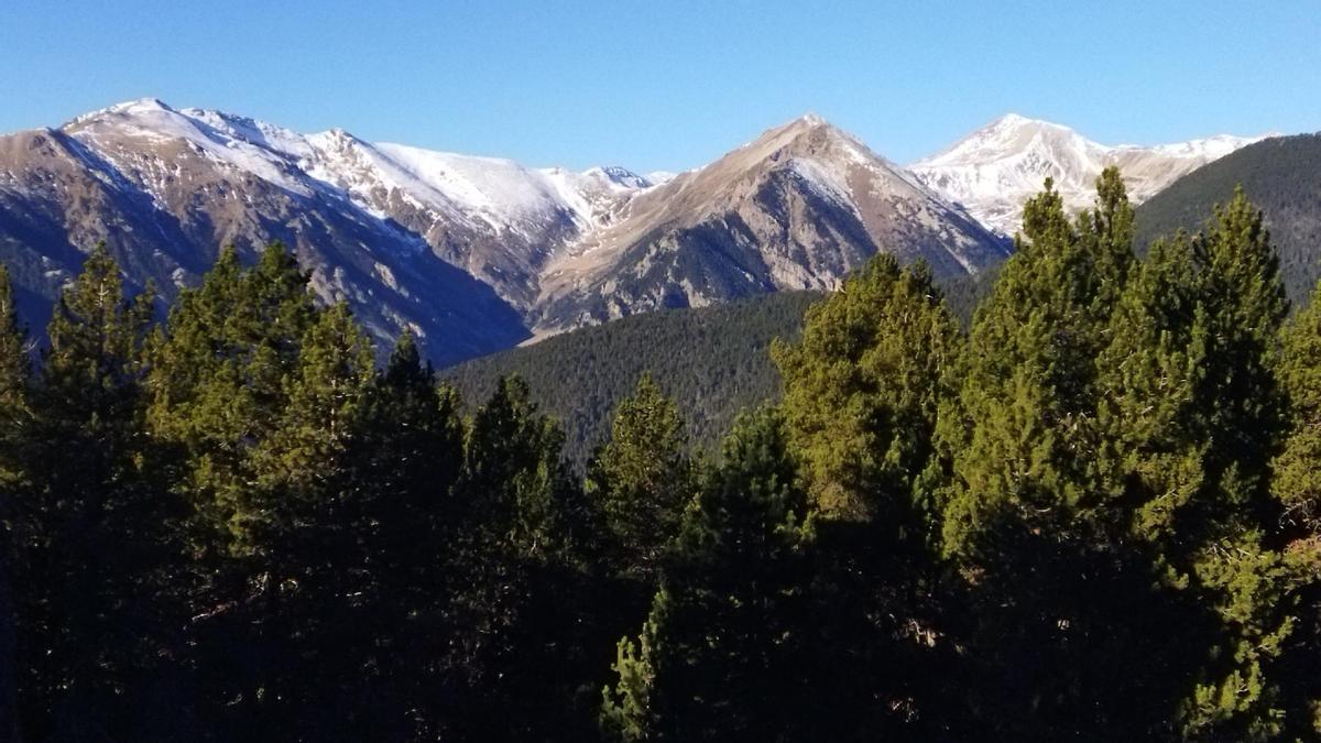 Parc Natural de les Capçaleres del Ter i del Freser.