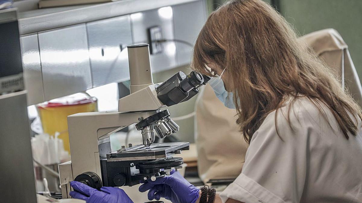 Análisis de pruebas PCR en el laboratorio de microbiología de Son Espases.