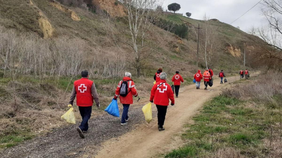 Voluntarios de Cruz Roja en su recorrido por Castrogonzalo, recogiendo basura. | E. P.