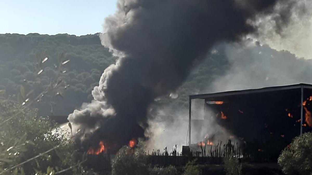 El fuego está quemando una gran cantidad de paja, lo que genera abundante humo.