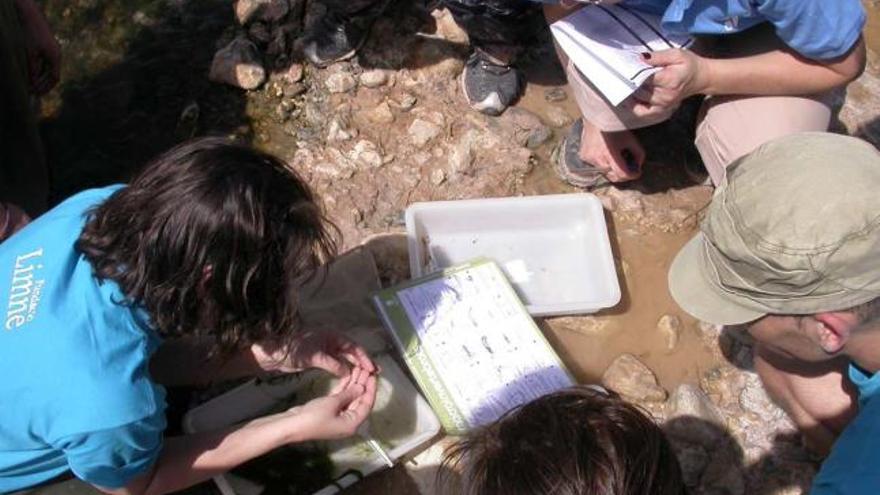 Especialistas de la Fundación Limne analizando las muestras tomadas en el río Vinalopó entre los términos de Elda y Novelda. Un excursionista observa el cauce sucio.