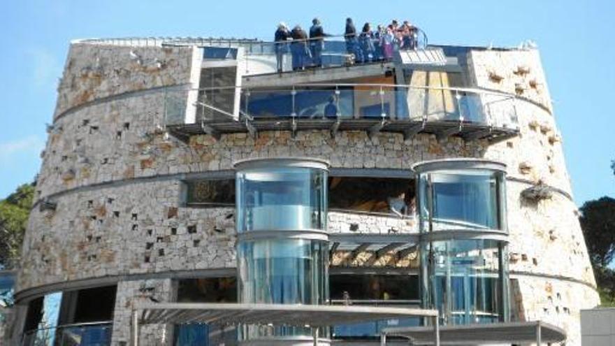 Blick auf das Aquarium in Colònia de Sant Jordi