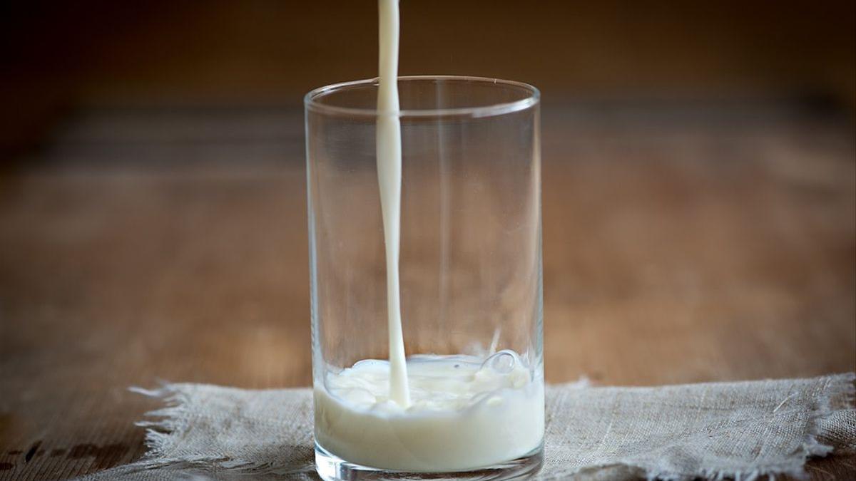 Los lácteos son un producto muy necesario para nuestro cuerpo, puesto que contienen calcio, vitamina D
