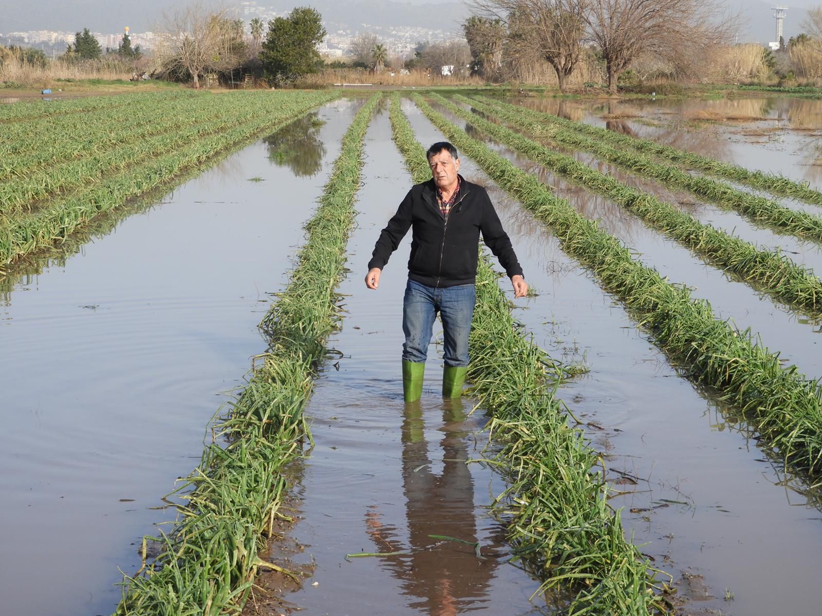 Agricultor del Parque Agrario del Baix Llobregat