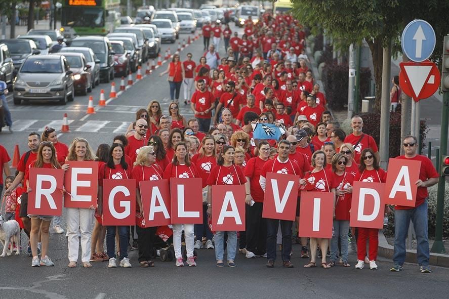 Fotogalería / Marcha del donante