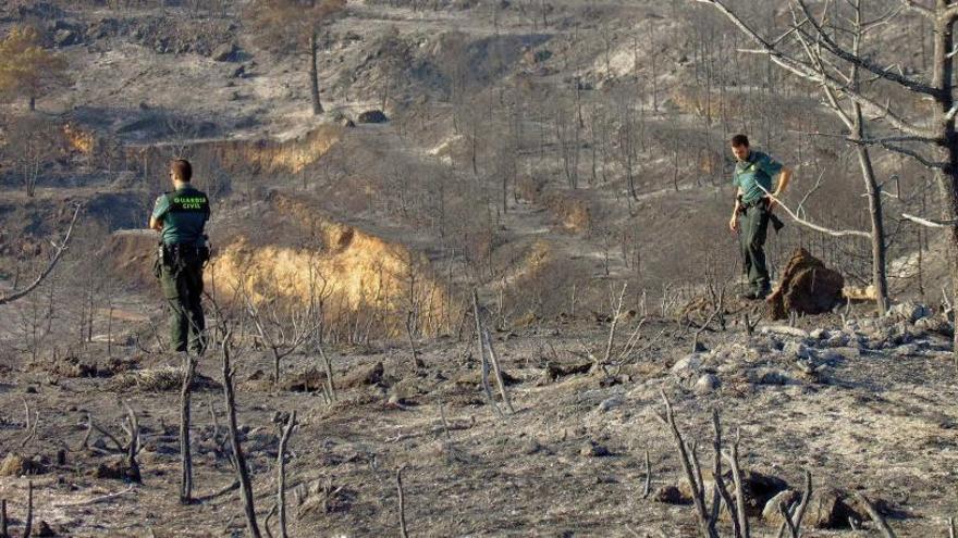 Nueva campaña para prevenir incendios forestales en Alicante