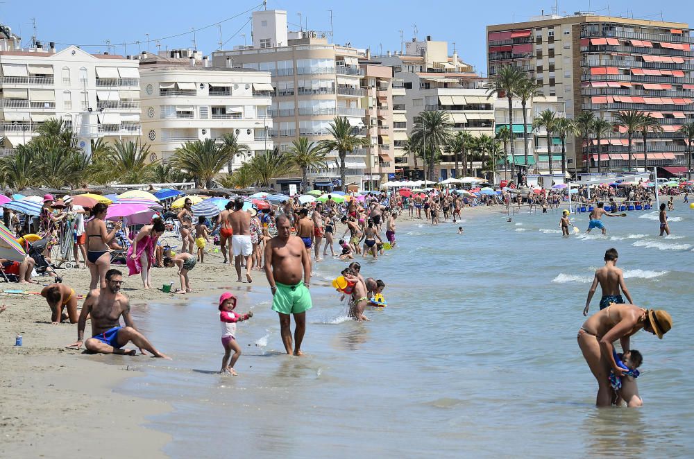 Buen tiempo este fin de semana en Elche