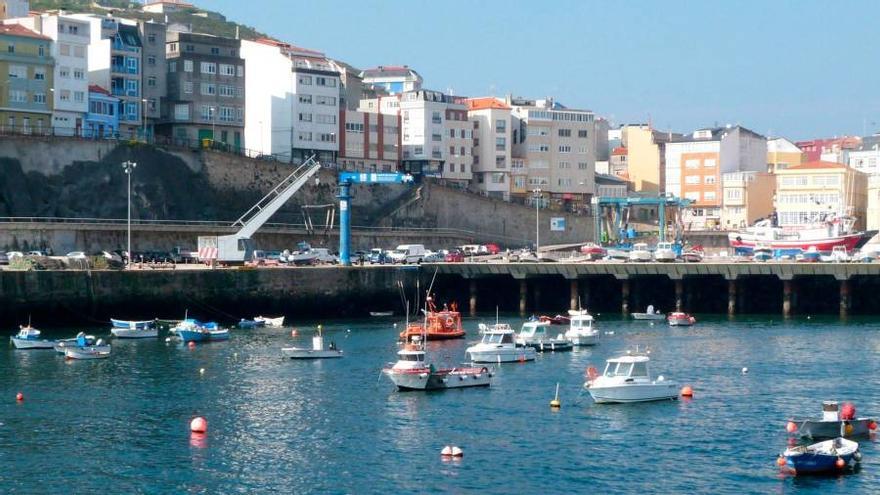 Incautan más de 1.100 kilos de sardina en Malpica con etiquetas de trazabilidad falsificadas