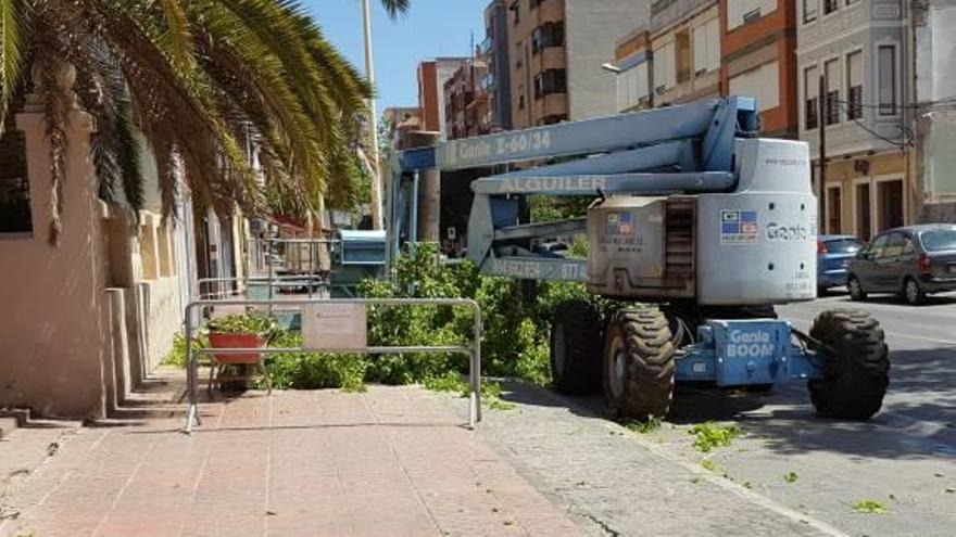 La Vall tala los árboles de la avenida Cor de Jesús por los daños ocasionados en el vial