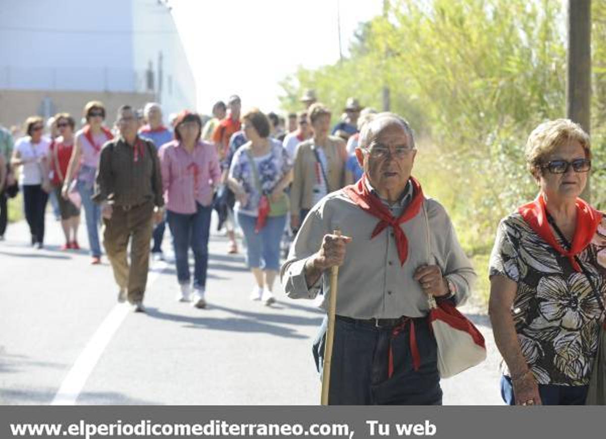GALERÍA DE FOTOS - Romería en Almassora