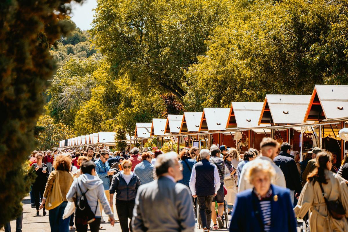 El Festival Zaragoza Florece abre las puertas a su séptima edición.