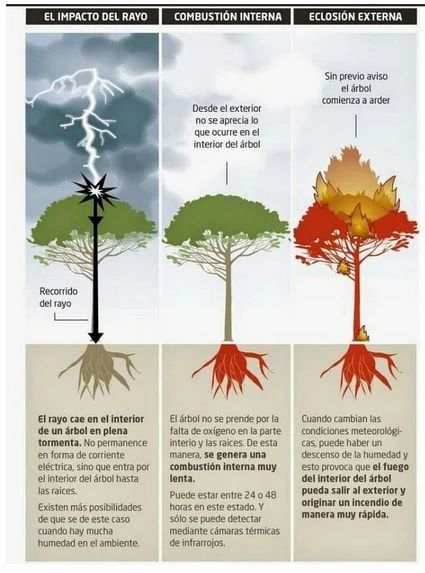 Infografía de Meteored en la que explican qué es un rayo latente