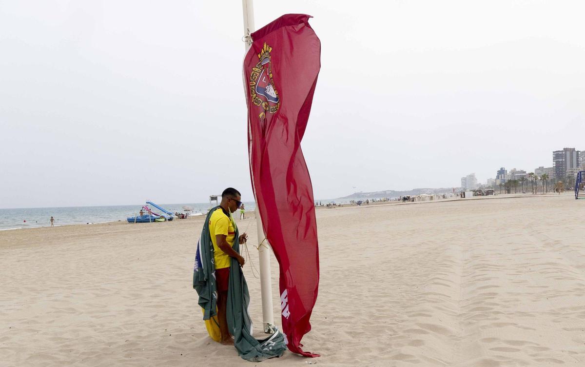 Bandera roja en la playa de San Juan en Alicante: los socorristas obligan a los bañistas a salir del agua por la alerta de viento