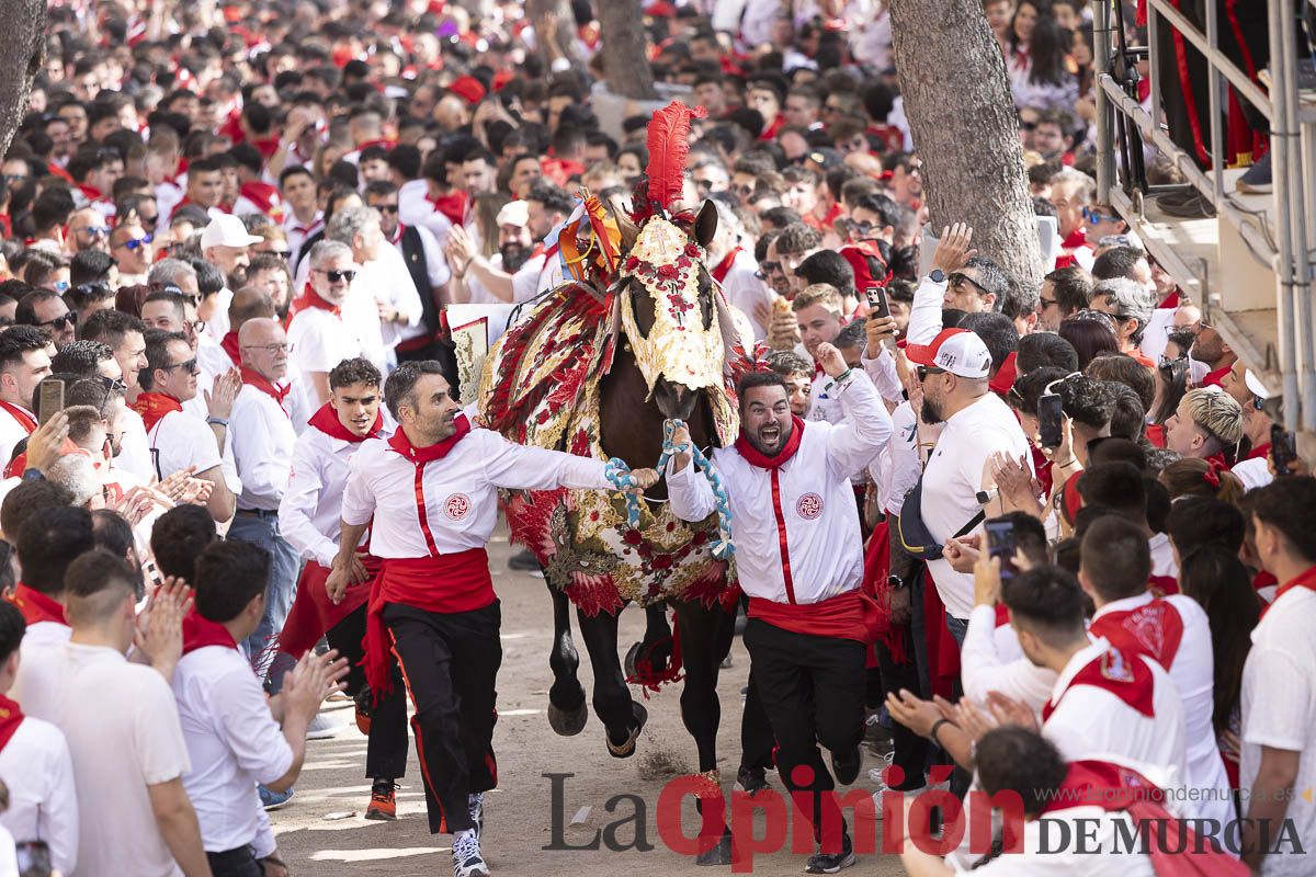 Así se ha vivido la carrera de Los Caballos del Vino en Caravaca