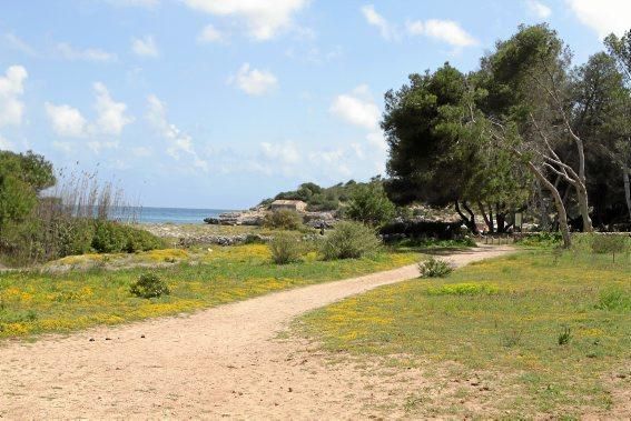 Der Naturpark Mondragó gehört zu den schönsten Ecken der Insel. Ein Besuch, jetzt, wo es noch nicht so voll ist.