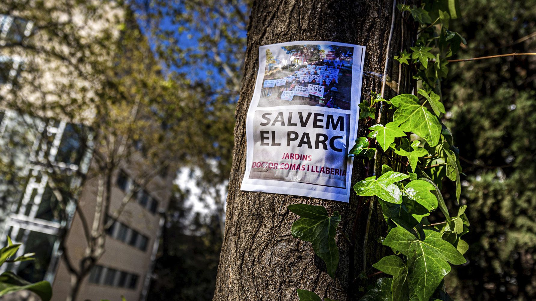 Cartel contrario a la eliminación de la zona verde, en uno de los árboles del parque de Comas i Llaberia