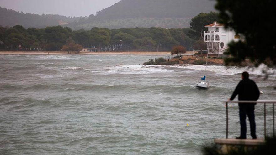 Se reanuda la búsqueda del joven desaparecido en Santa Ponça