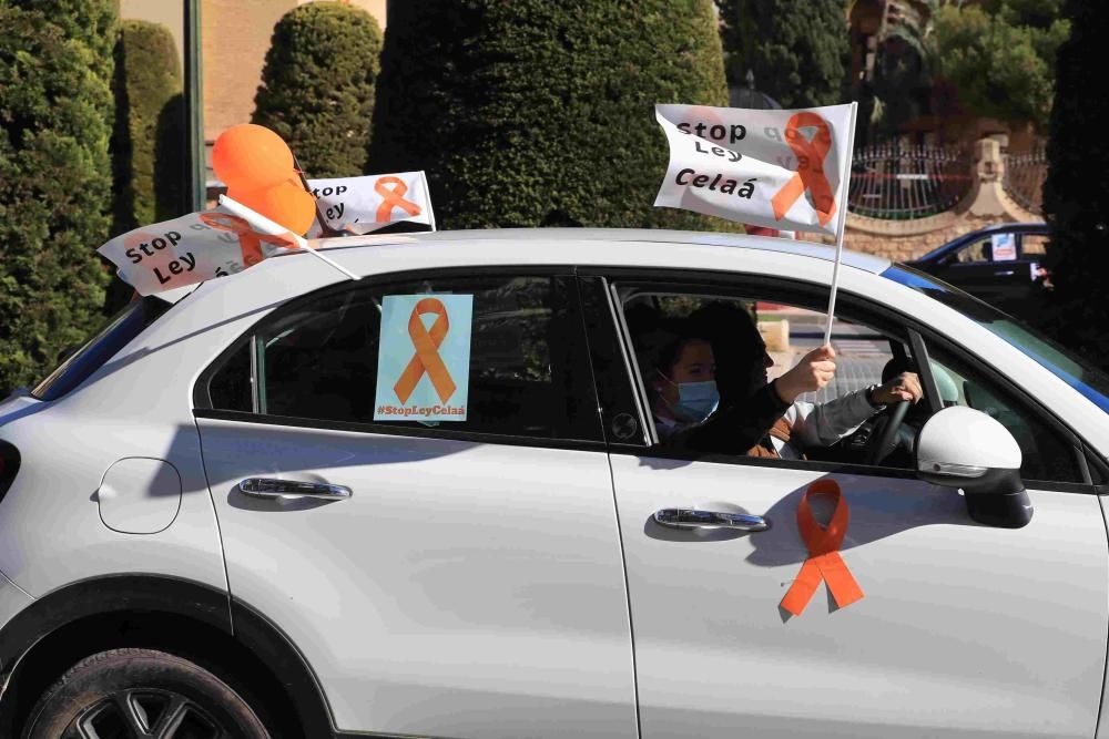 Protesta en Cartagena contra la Ley Celaá