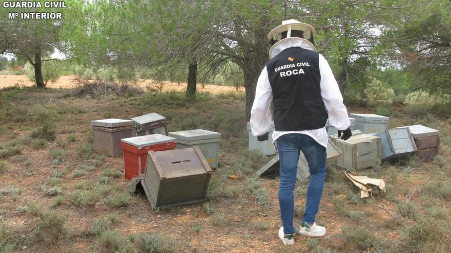 La banda también transportaba la droga en colmenas.