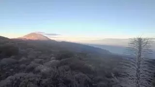 Así estará el tiempo este domingo en Canarias